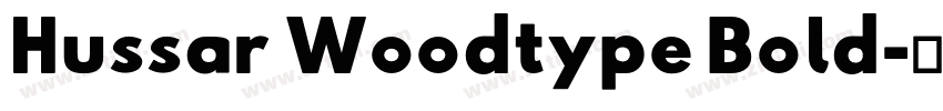 Hussar Woodtype Bold字体转换